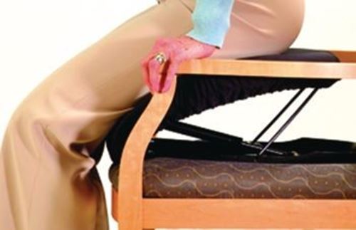 Picture of UpEasy Plus Seat Assist