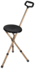 Picture of Folding Cane Seat