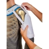 Picture of Hemi Shoulder Sling 