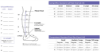 Picture of Compreflex Standard Calf & Foot, 20-50 mmHg- Tall