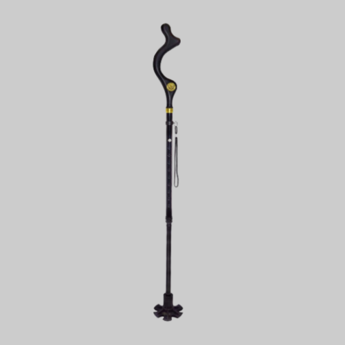 Picture of Posture Cane