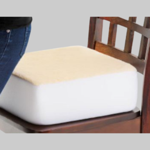 Picture of Rise with Ease Cushion