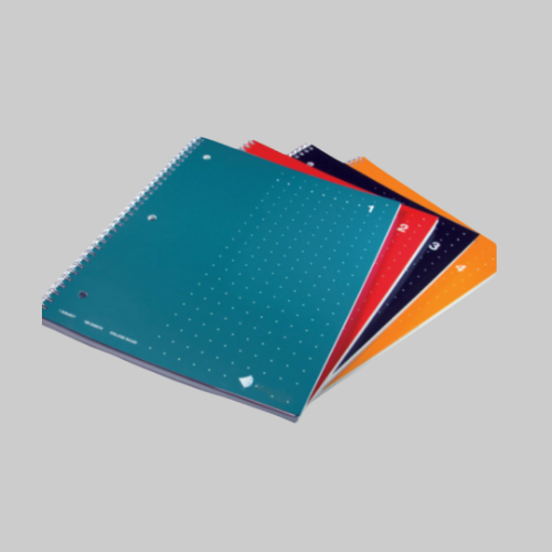 Picture of Livescribe Notebooks