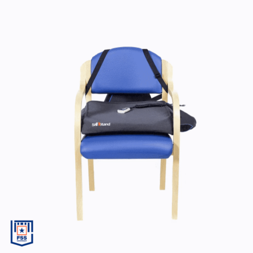 Picture of SitnStand Compact Chair Lift Assist