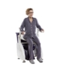 Picture of DL2 Deluxe Toilet Lift