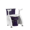 Picture of DL2 Deluxe Toilet Lift
