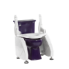 Picture of DL2 Deluxe Toilet Lift